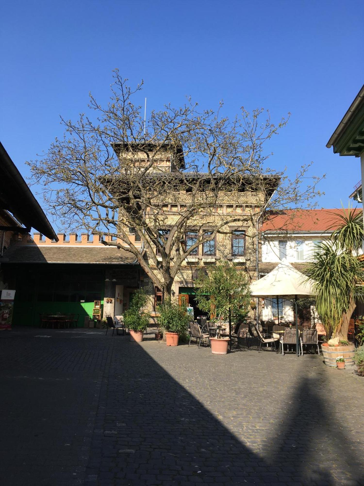 Gästehaus Guntersblum Exterior foto