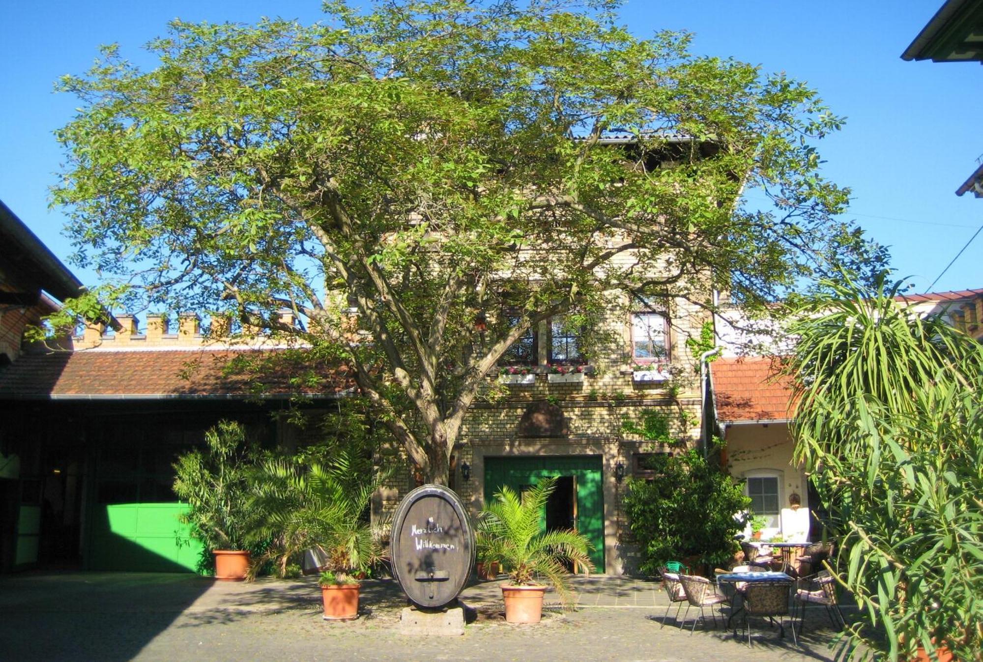 Gästehaus Guntersblum Exterior foto